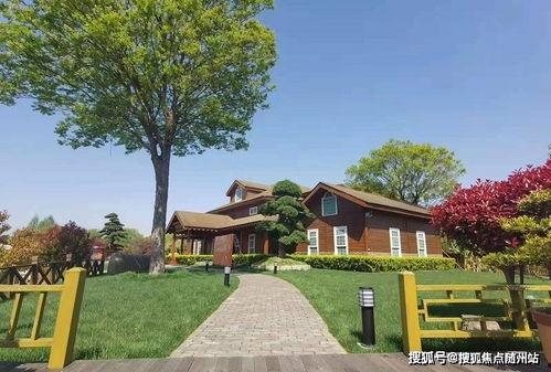 重庆小车爆料最新消息查询,最新事故现场细节及调查进展披露  第3张